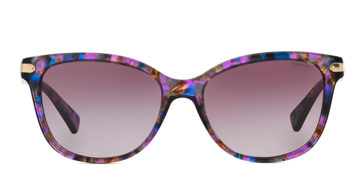 Coach HC8132 Purple/Multicolor Sunglasses