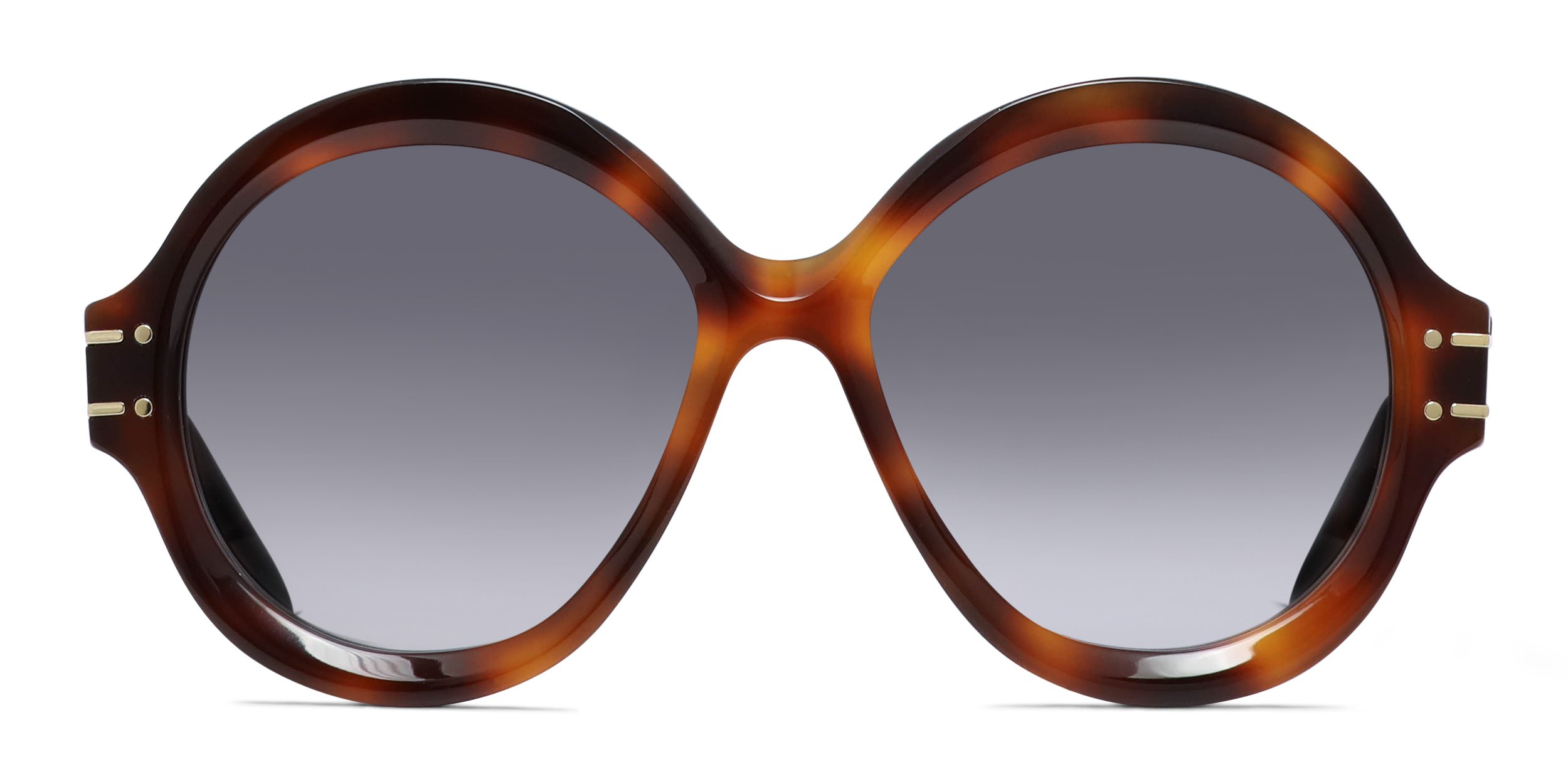 Dior DiorSignature R1U Tortoise Prescription Sunglasses display picture 1