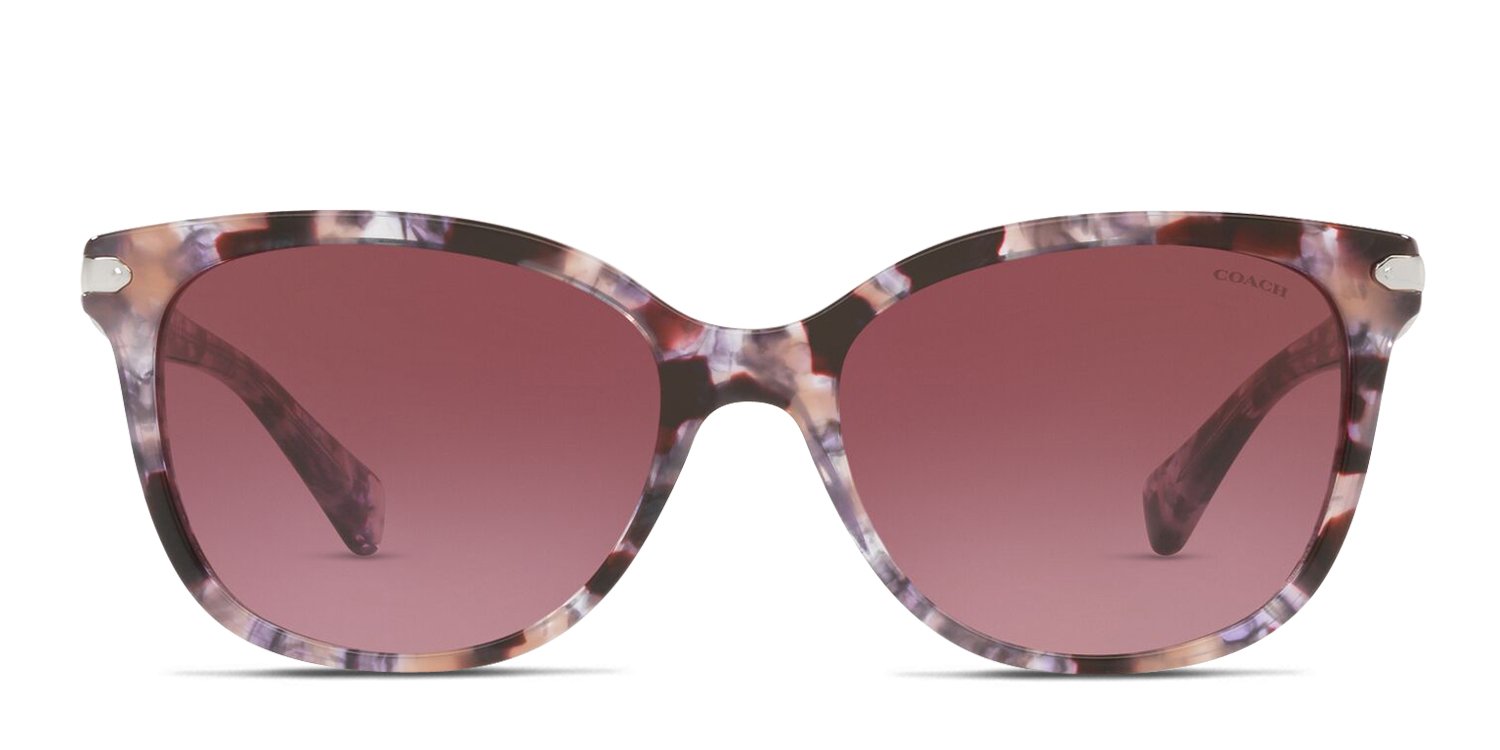 Coach HC8132 purple, tortoise frame with burgundy gradient lenses