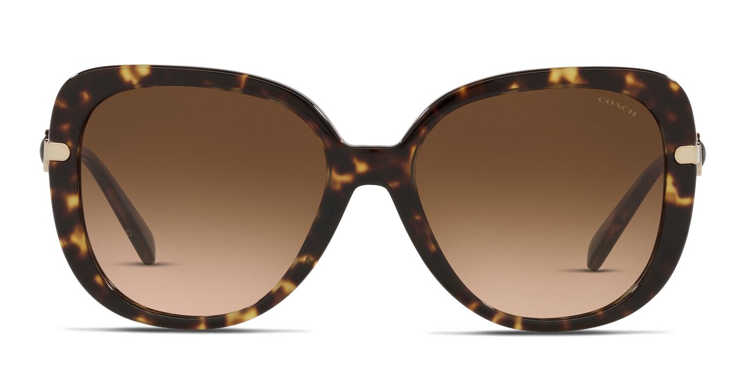 Coach HC8320 tortoise frame with dark brown gradient lenses