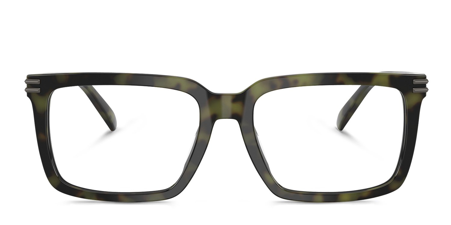 Michael Kors MK4155U Bayshore green , tortoise frame