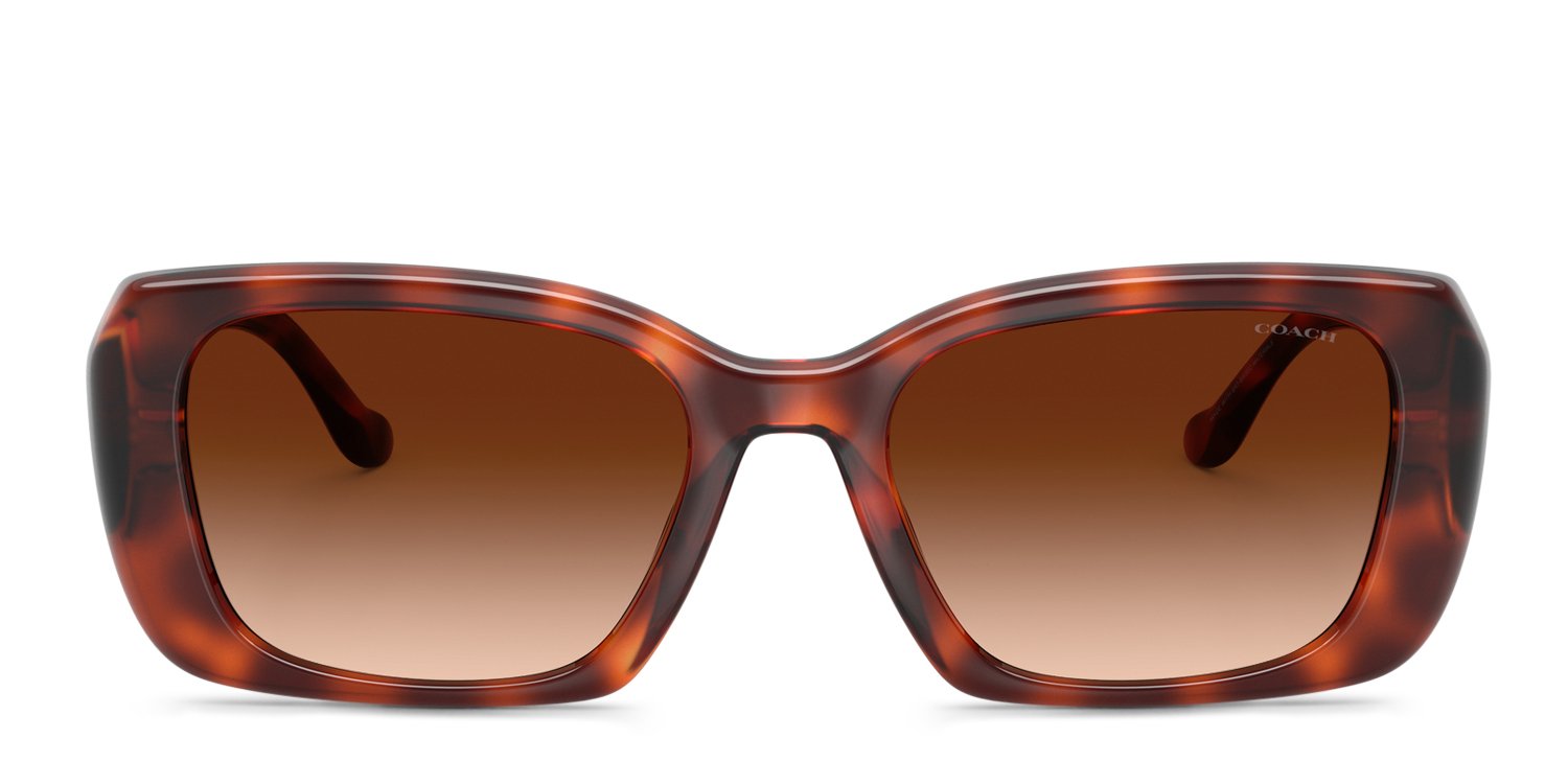 Coach HC8435U gold , tortoise frame with brown gradient lenses