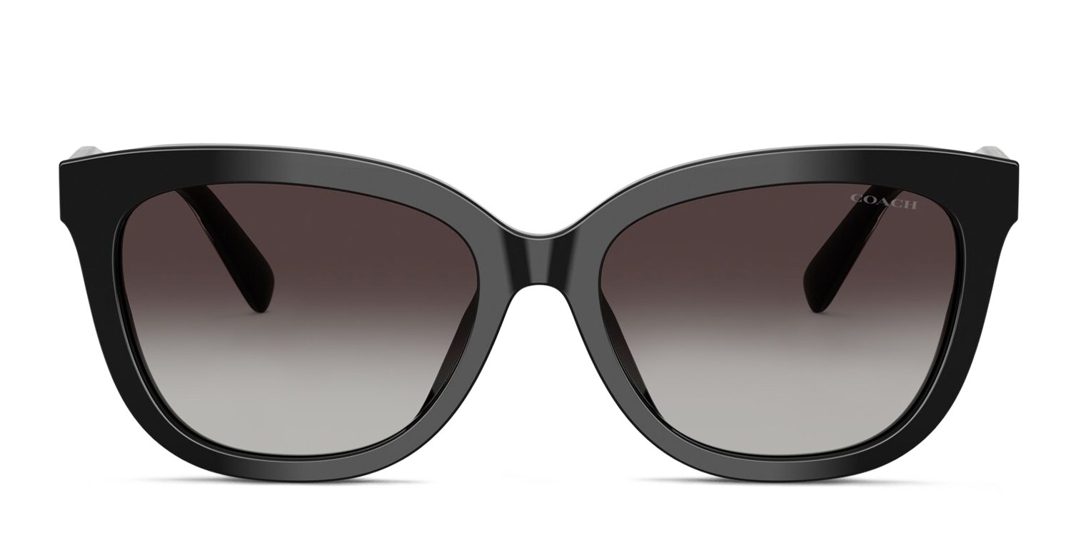 Coach Black and Silver Sunglasses Coach HC8232 Sunglasses | FramesDirect.com main image 2