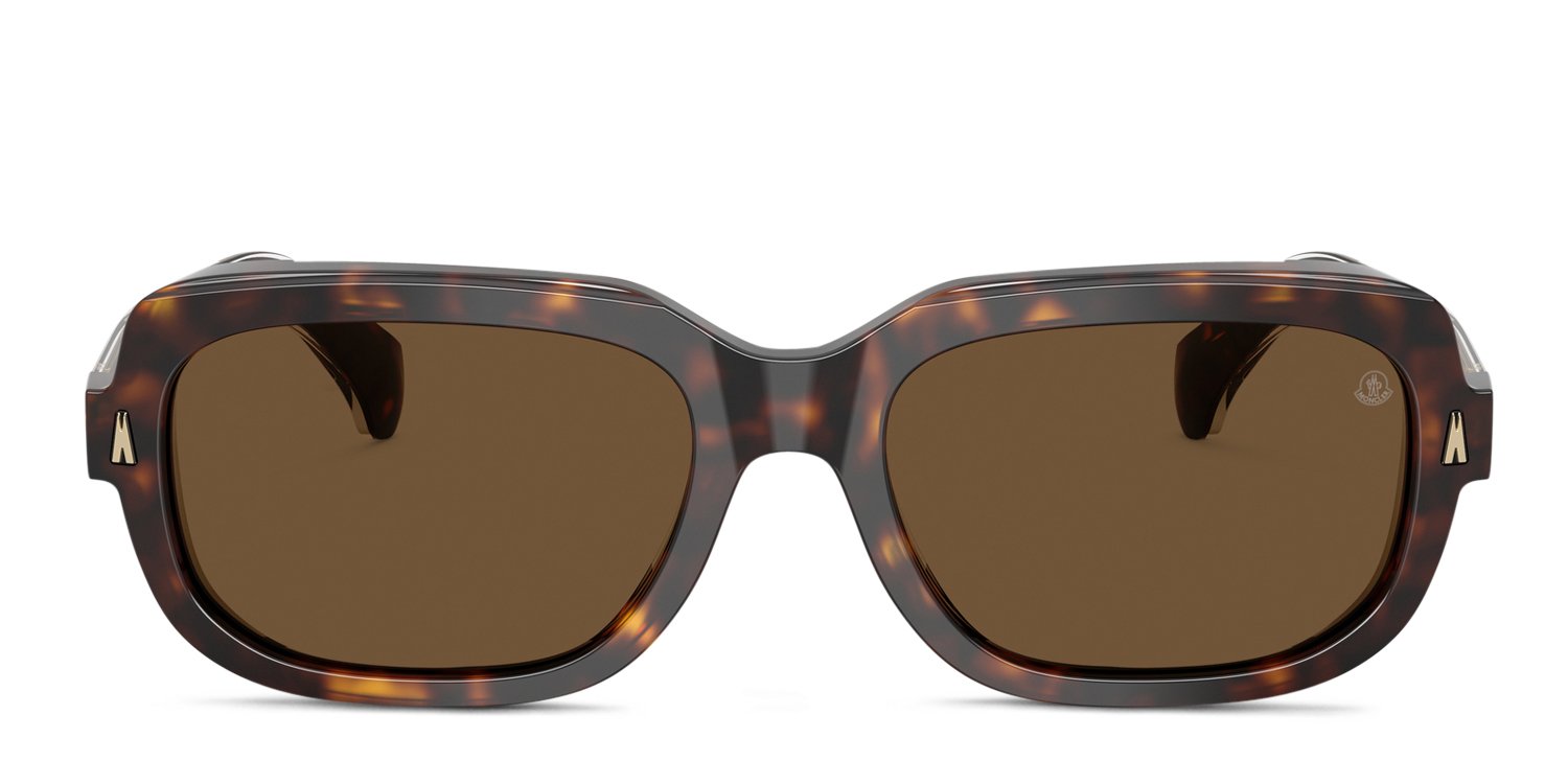 Moncler ME6008 Suntrap tortoise frame with brown solid lenses