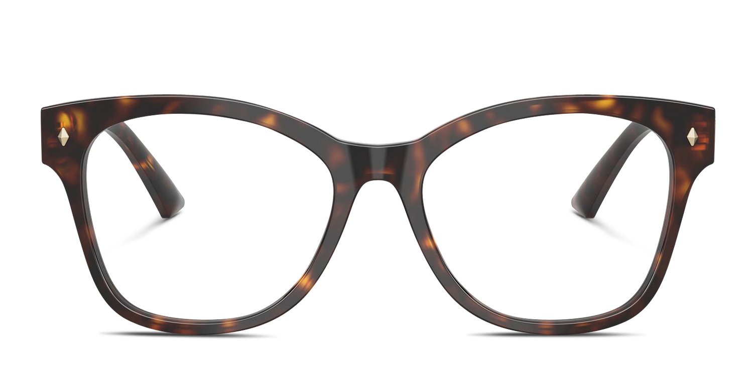 Jimmy Choo JC3056 tortoise frames